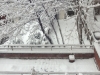 feb-2013-snow-2