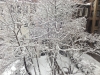 feb-2013-snow-5