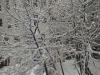 feb-2013-snow-6