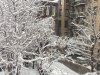 feb-2013-snow-7