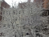 feb-2013-snow